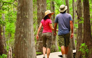 Hiking Trails on 30A