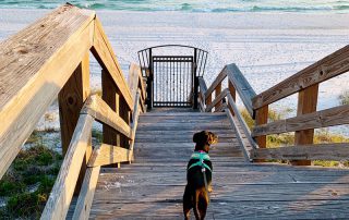 30A Beaches
