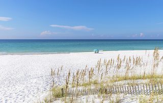 Beach Cleanup Programs in Pensacola