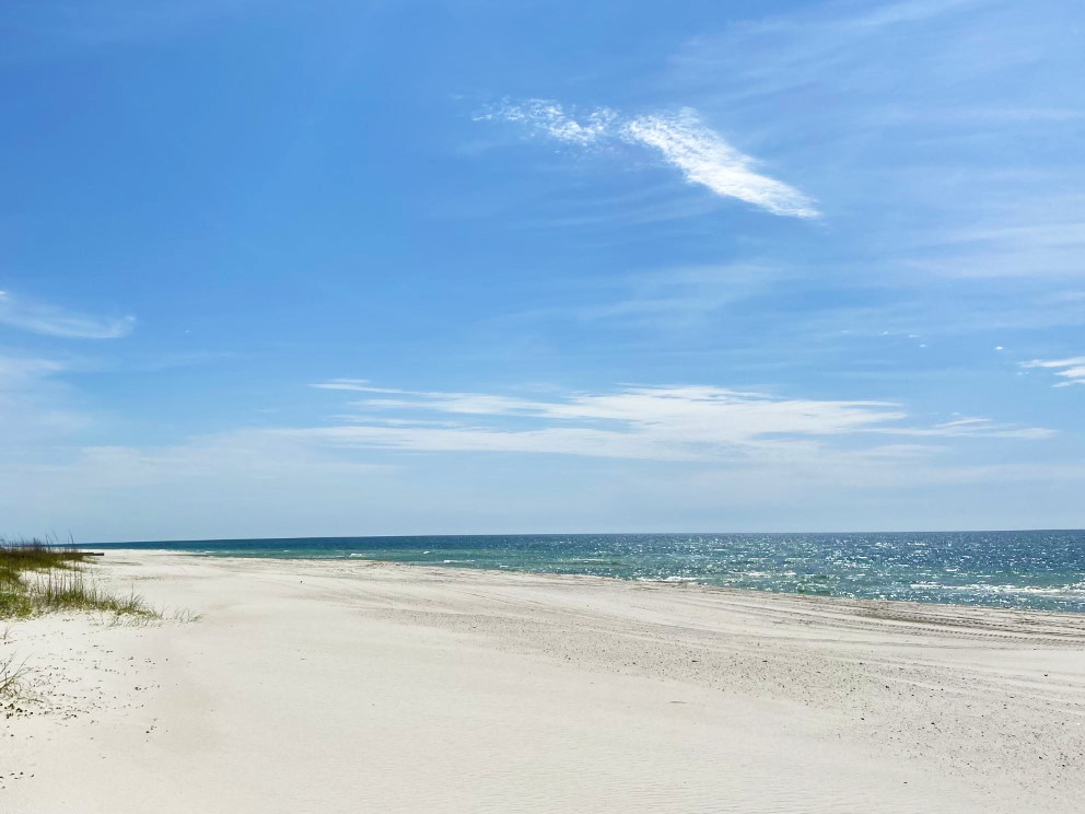 Explore Shell Island in Panama City Beach ~ Southern Vacation Rentals