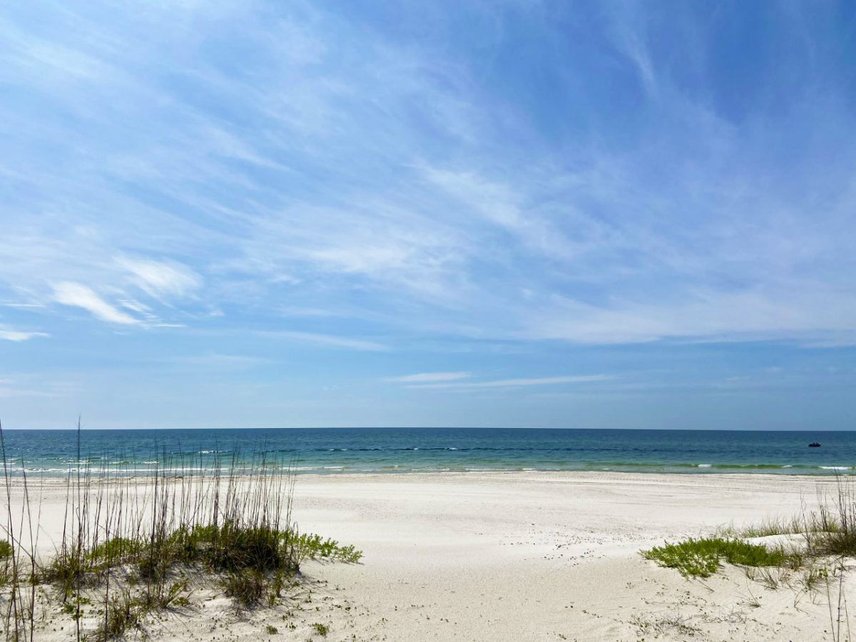 Explore Shell Island In Panama City Beach ~ Southern Vacation Rentals