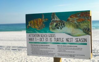 Navarre Beach Sea Turtle Conservation Center