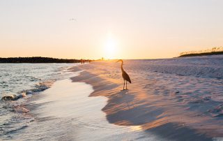 5 Reasons to Visit the Beach in the Fall