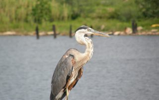 Perdido Key State Park