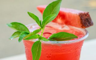 Watermelon Margarita Recipe for Your Summer Vacation