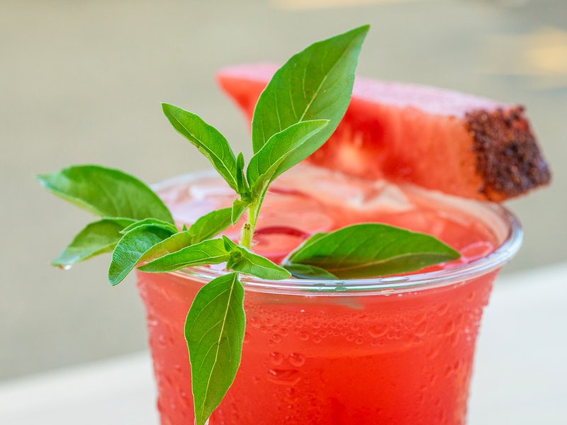 Watermelon Margarita Recipe for Your Summer Vacation