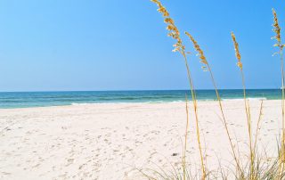 Guide to Things to Do in Perdido Key, FL in a Weekend
